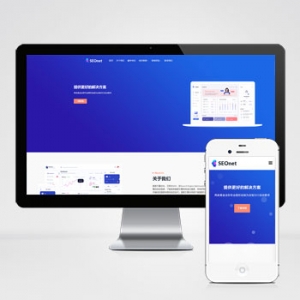 SEO优化网络公司网站模板下载